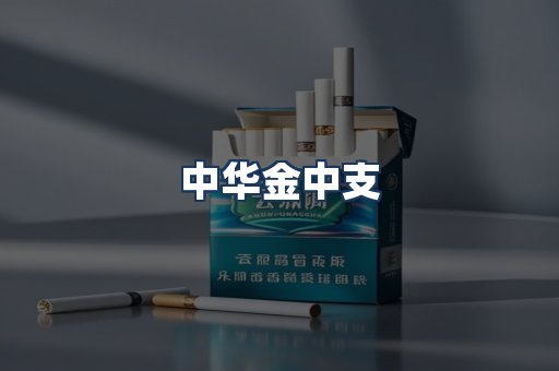 中华金中支